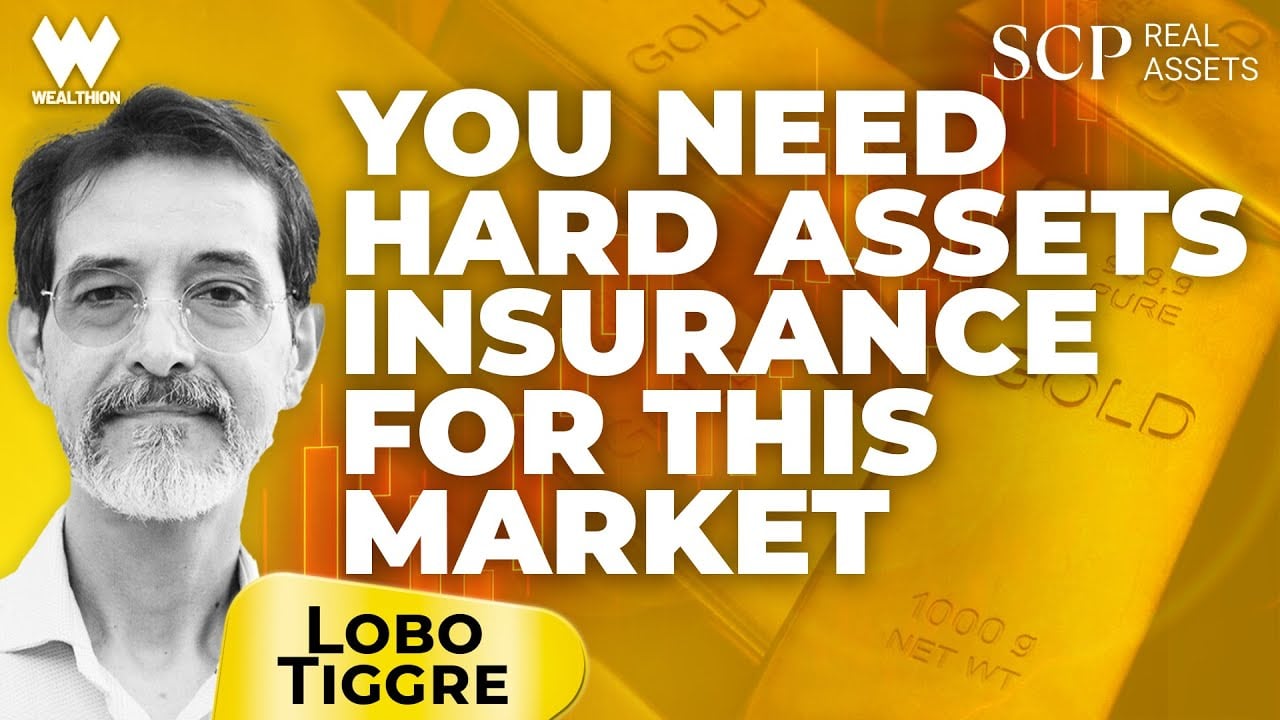hard-assets-are-your-insurance-now-lobo-tiggre-on-todays-ai-mania-credit-cracks-gold
