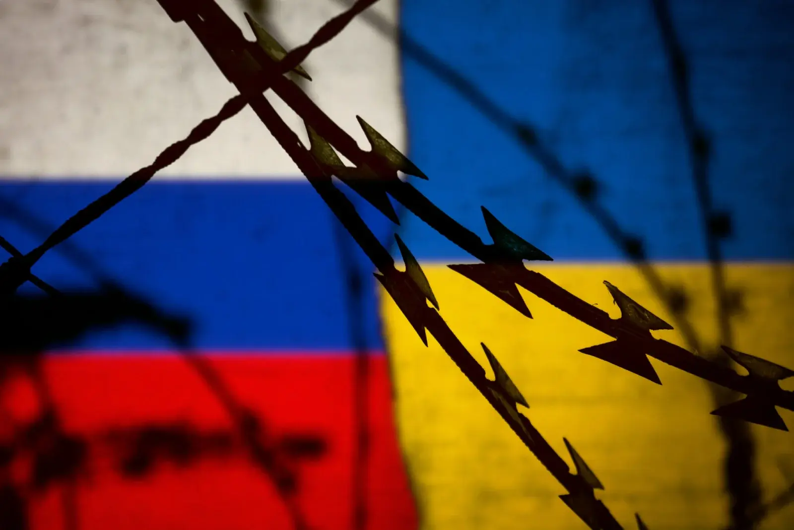 wealthion-macro-bites-11-26-25/